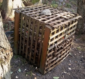 IMG_20200319_170522230