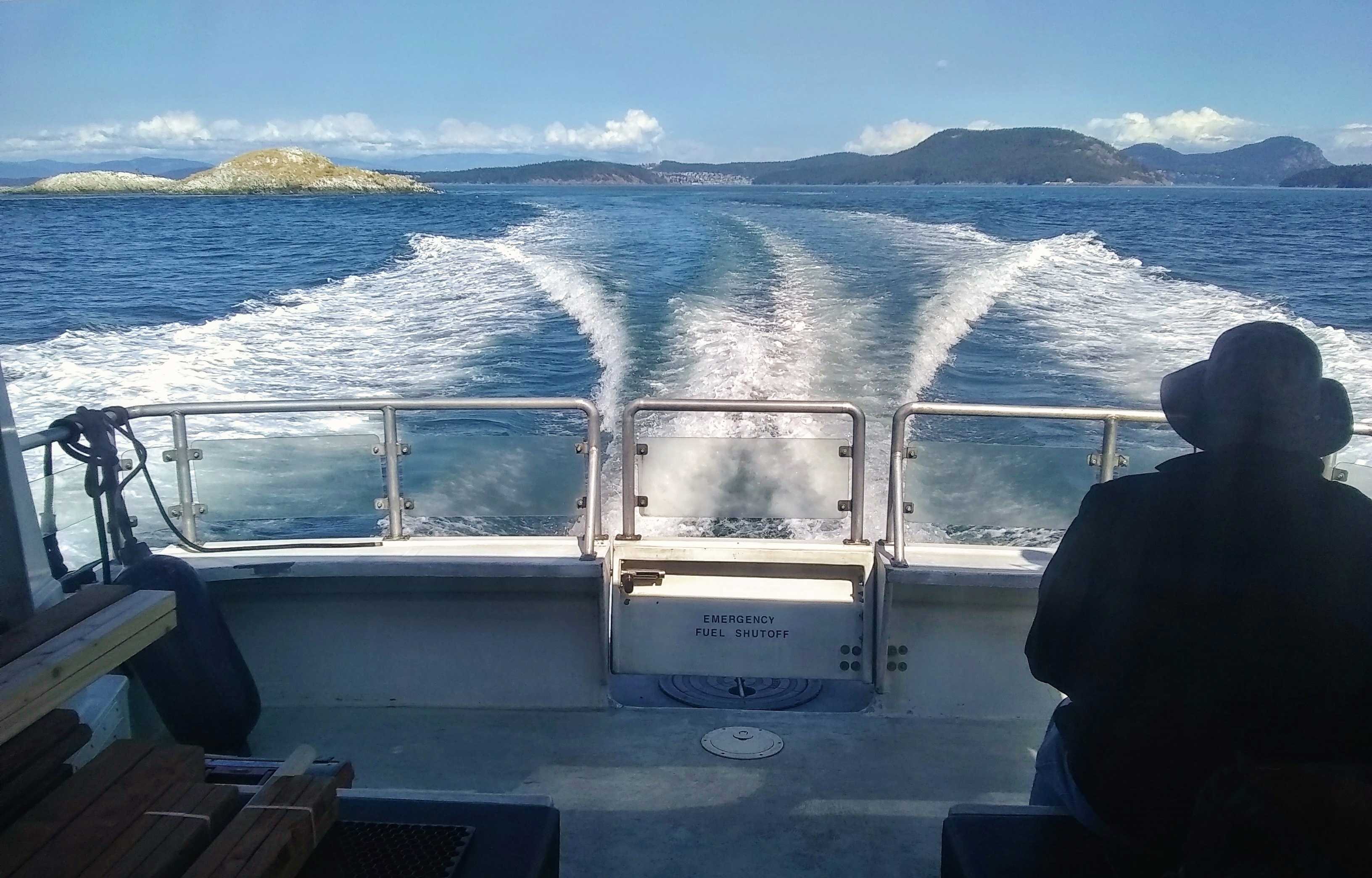 IMG_20200803_161108701