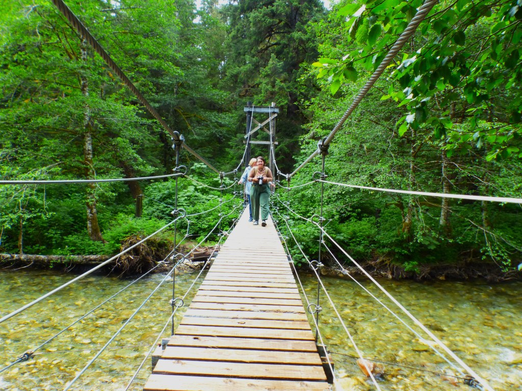 This image has an empty alt attribute; its file name is tenakee-bridge-june29.jpg